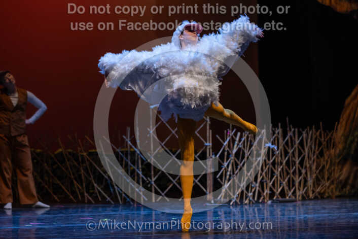 20260304151731-R3-639228