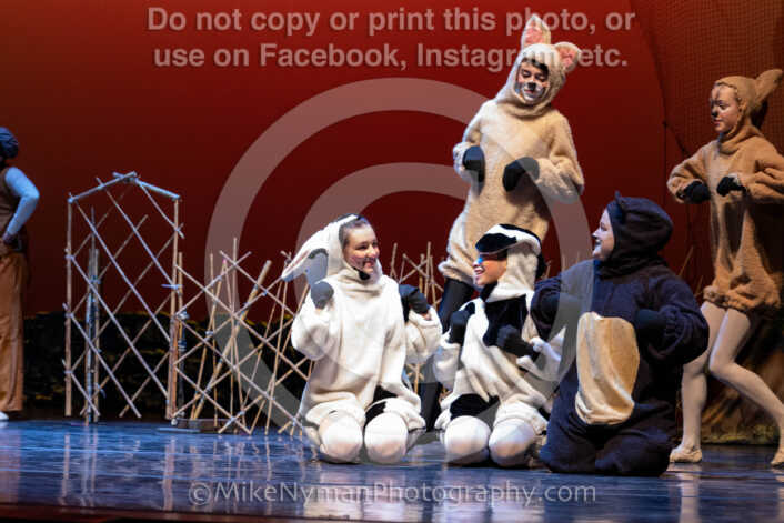 20260304151738-R62-100483