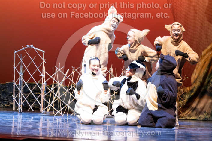 20260304151740-R62-100484