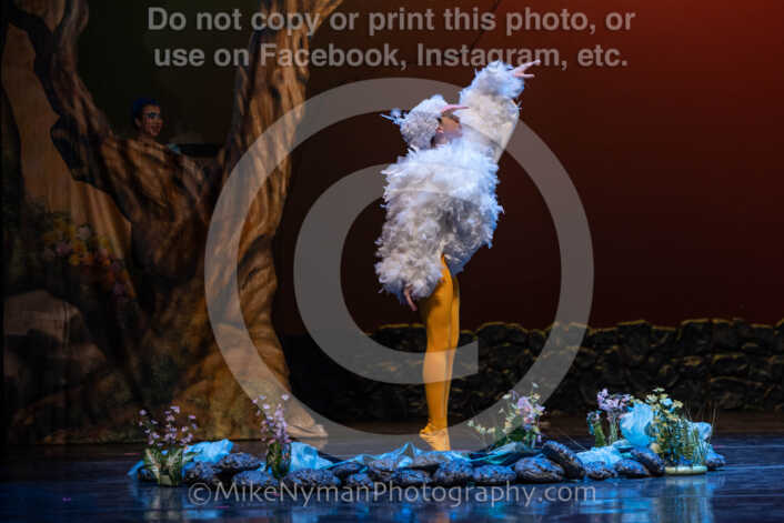 20260304151747-R3-639237