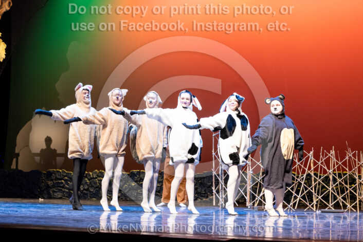 20260304151755-R62-100489