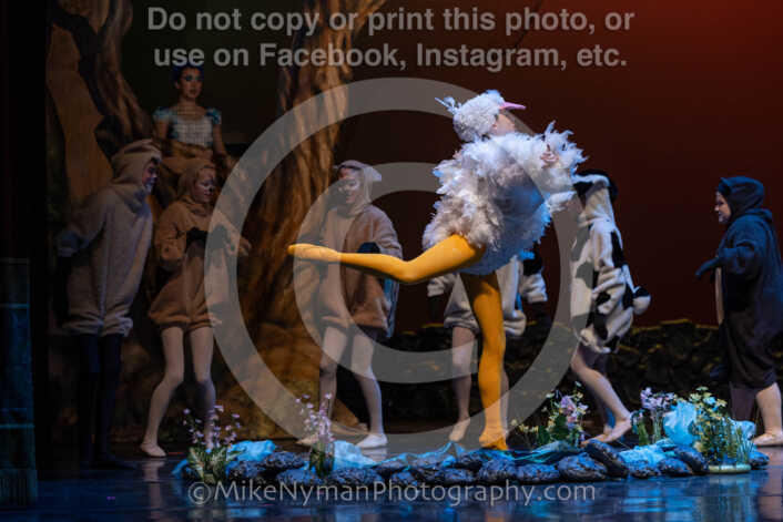 20260304151803-R3-639245