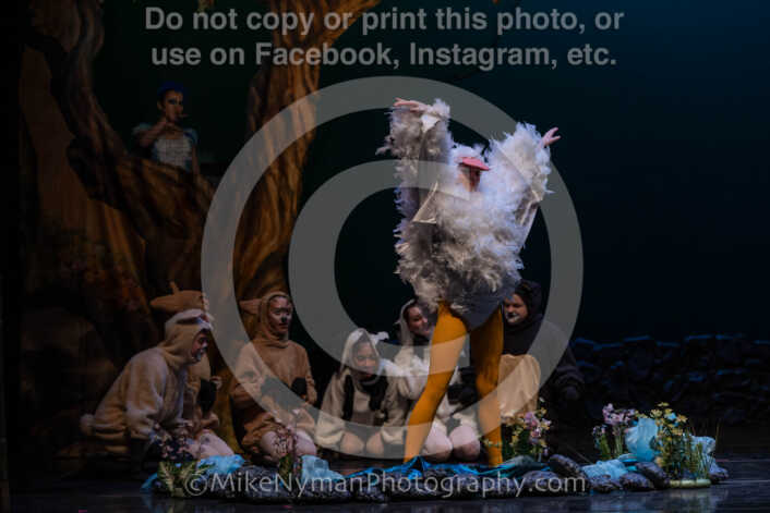 20260304151807-R3-639248