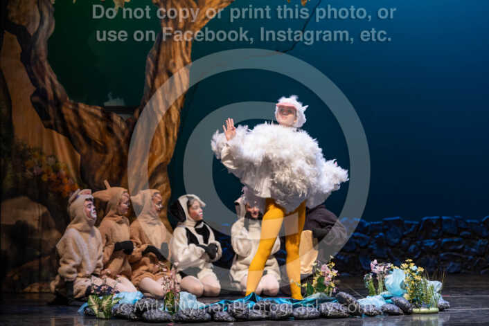 20260304151813-R3-639250