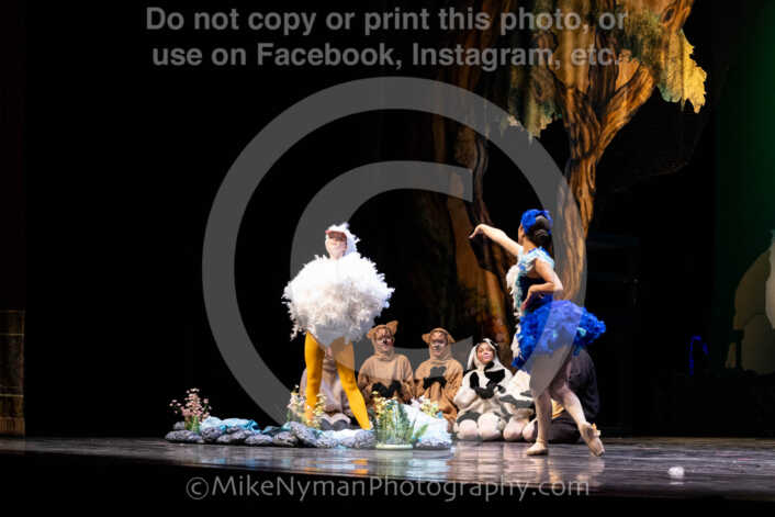 20260304151820-R62-100490