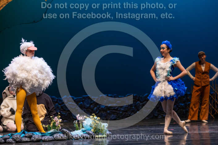 20260304151823-R3-639252