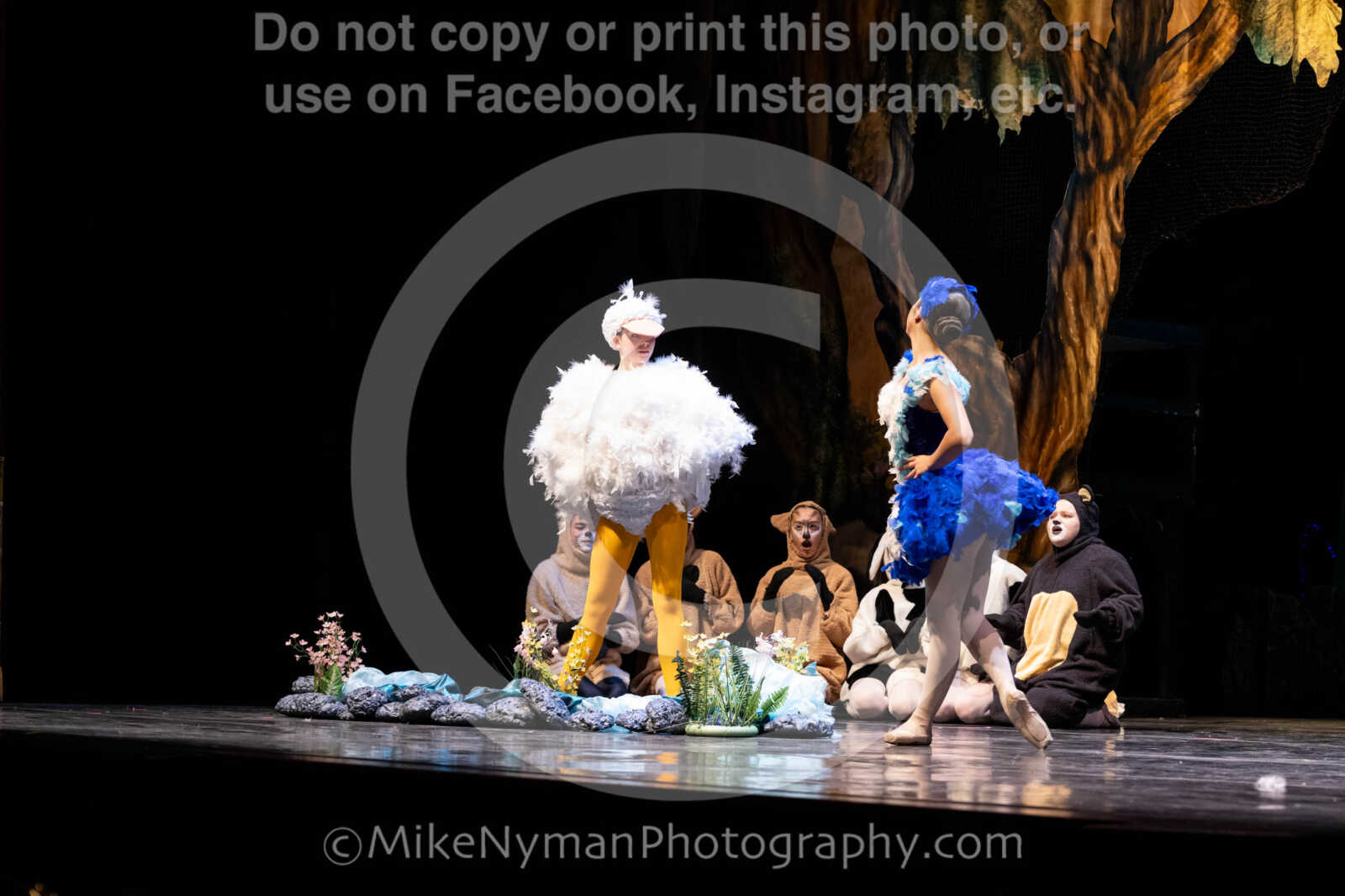 20260304151829-R62-100491