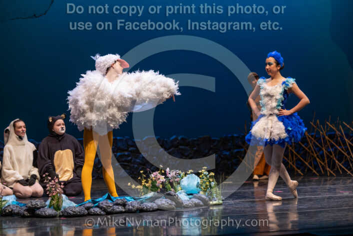 20260304151832-R3-639254