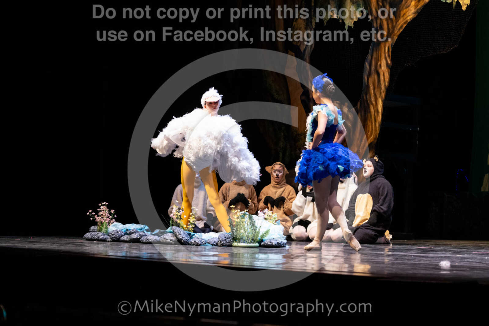 20260304151834-R62-100492