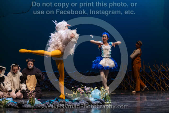 20260304151852-R3-639263