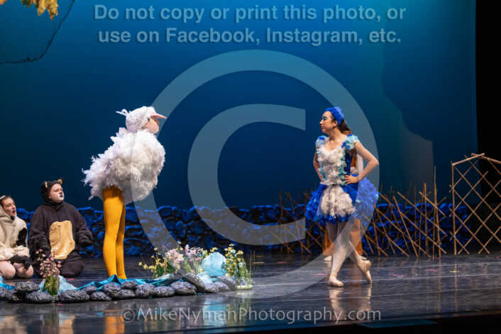 20260304151904-R3-639270