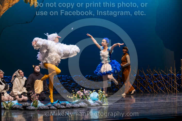 20260304151907-R3-639273