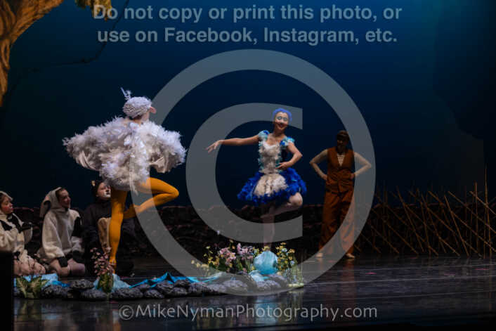 20260304151910-R3-639275