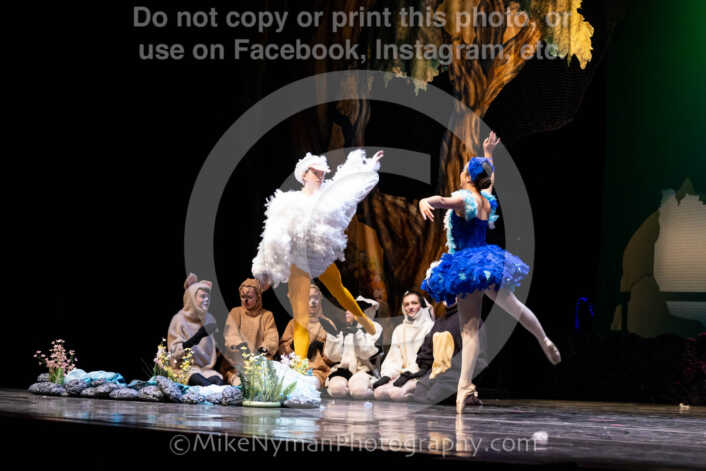 20260304151912-R62-100497