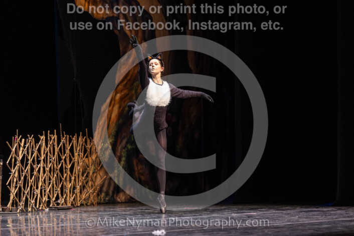 20260304151932-R3-639277