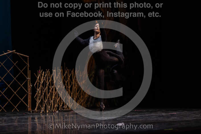 20260304151933-R3-639278