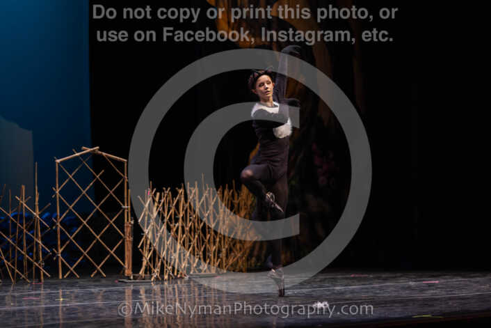 20260304151942-R3-639286