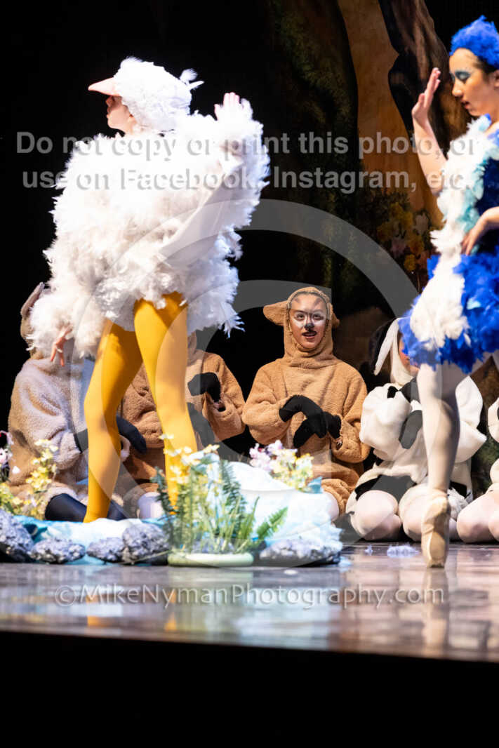 20260304151942-R62-100503