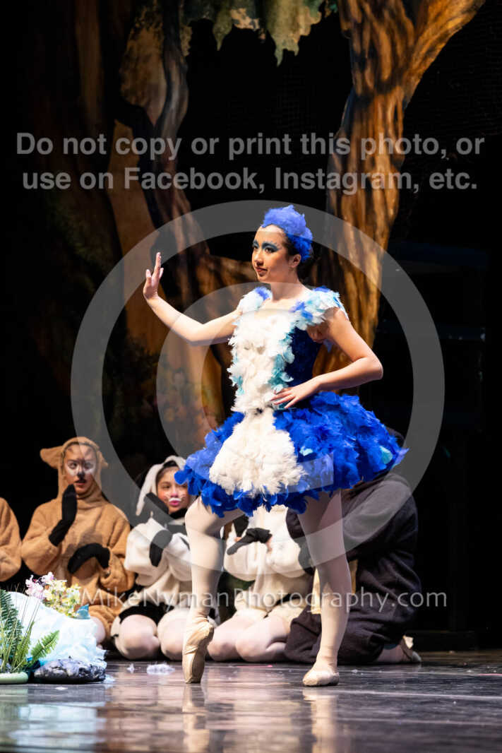 20260304151949-R62-100505