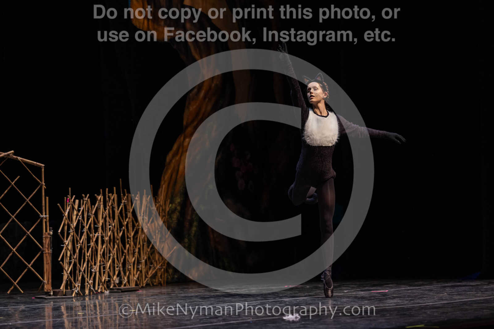 20260304152007-R3-639299