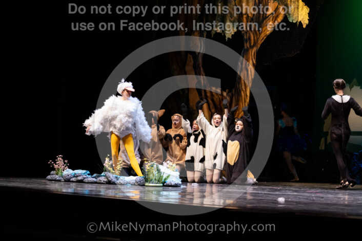 20260304152024-R62-100511