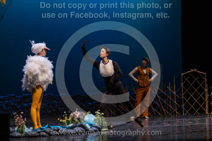 20260304152036-R3-639311