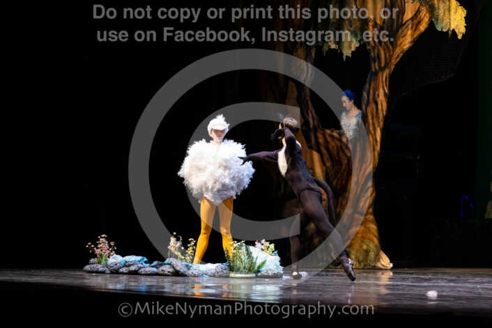 20260304152042-R62-100512