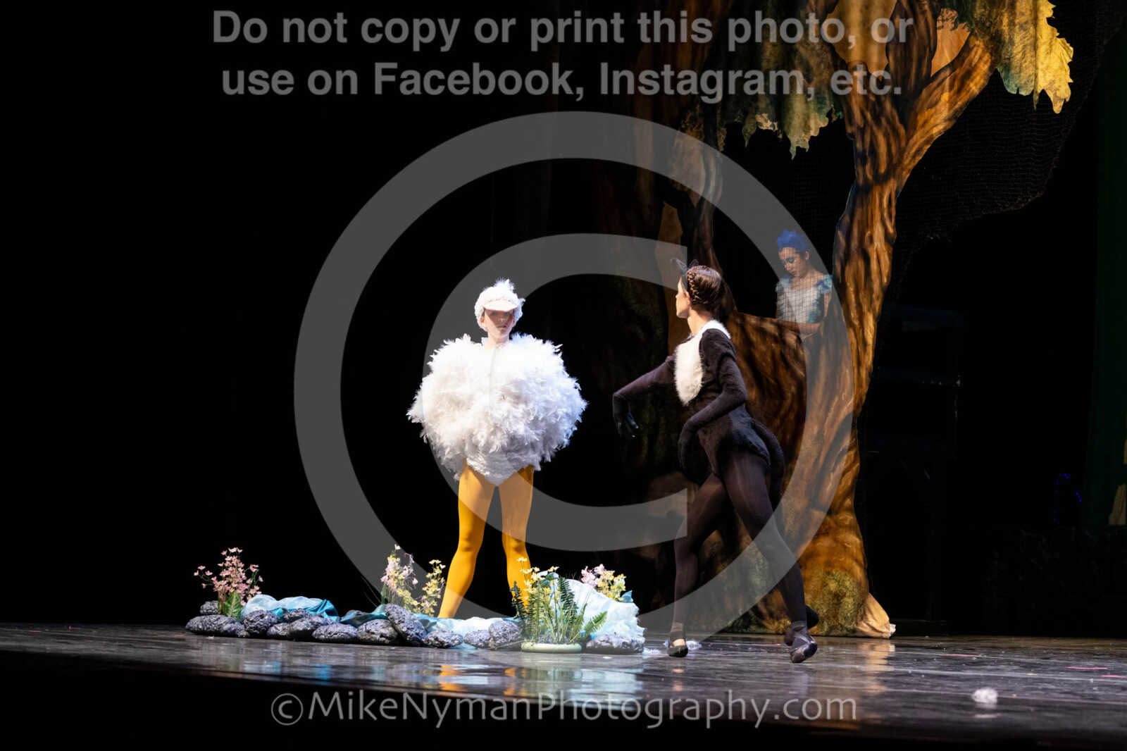 20260304152044-R62-100513