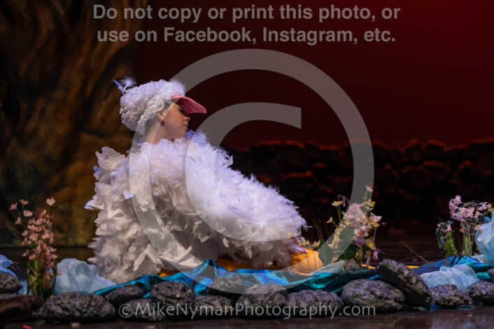 20260304152135-R3-639329