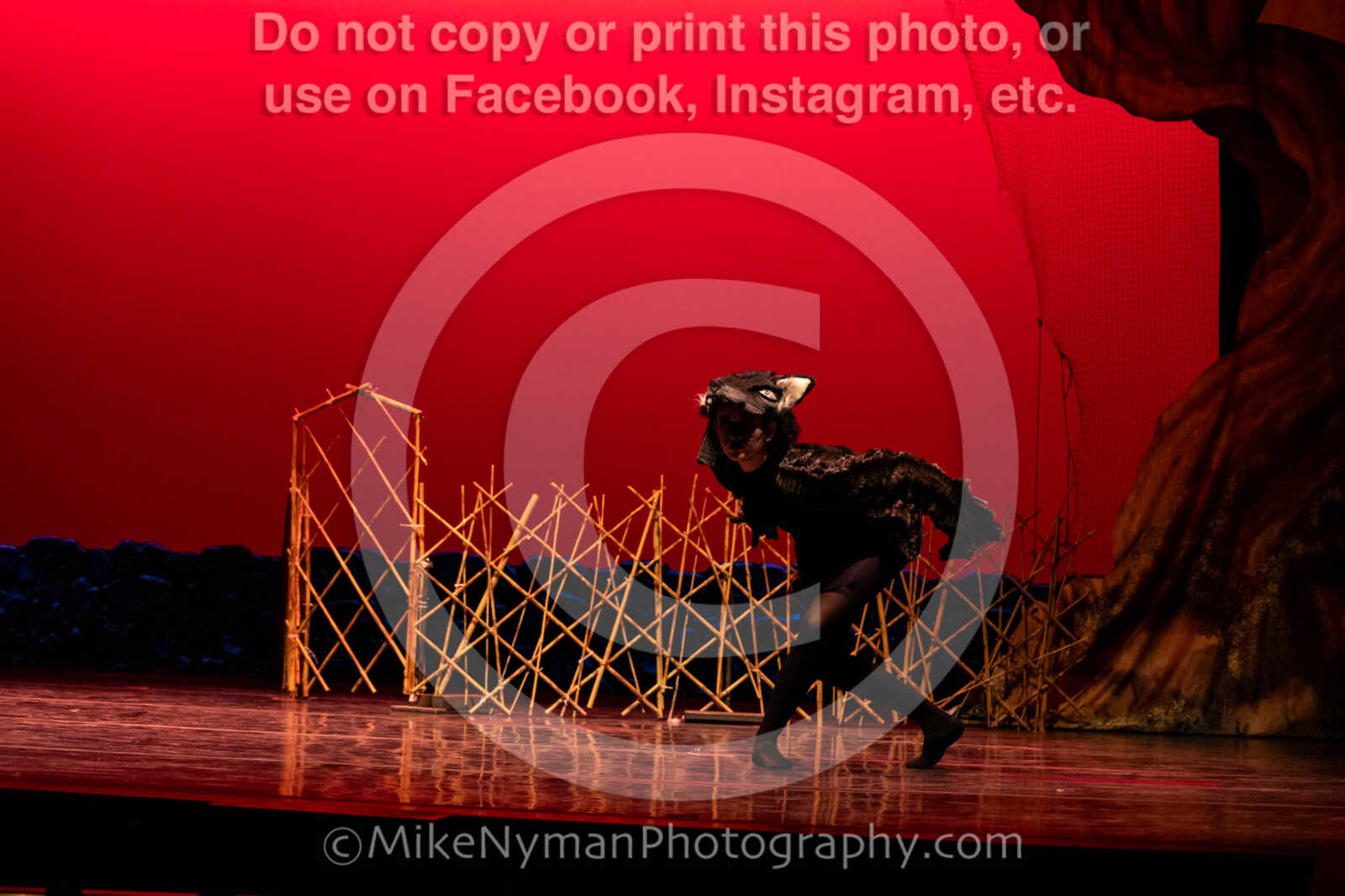 20260304152351-R62-100556