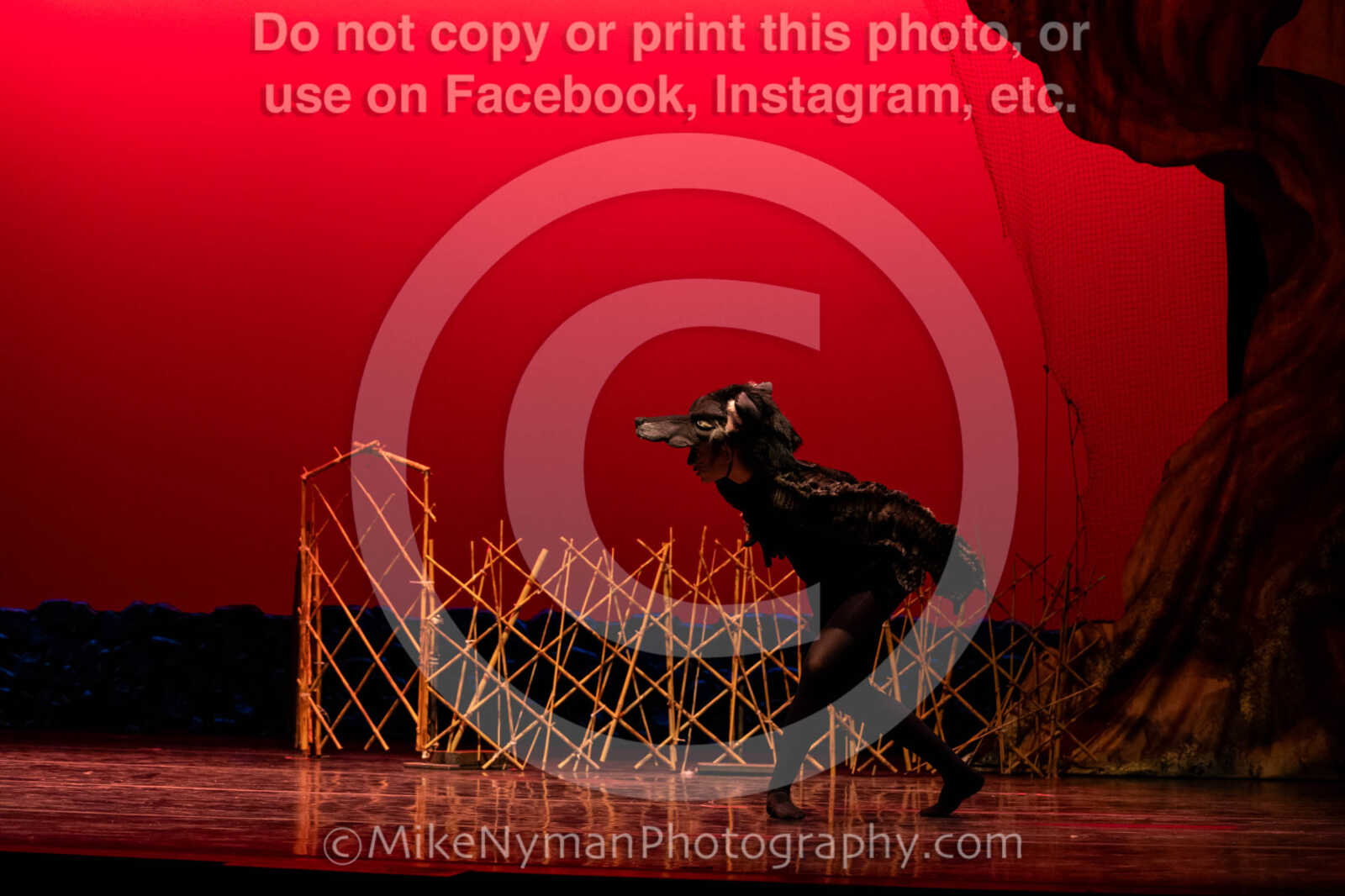 20260304152353-R62-100557