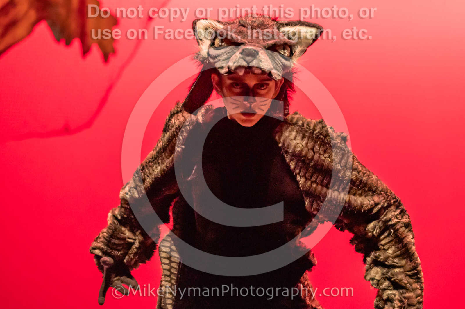 20260304152404-R3-639392