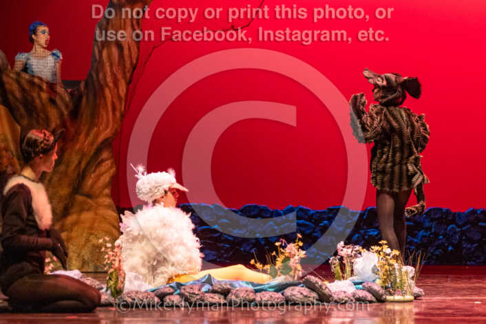 20260304152436-R3-639404