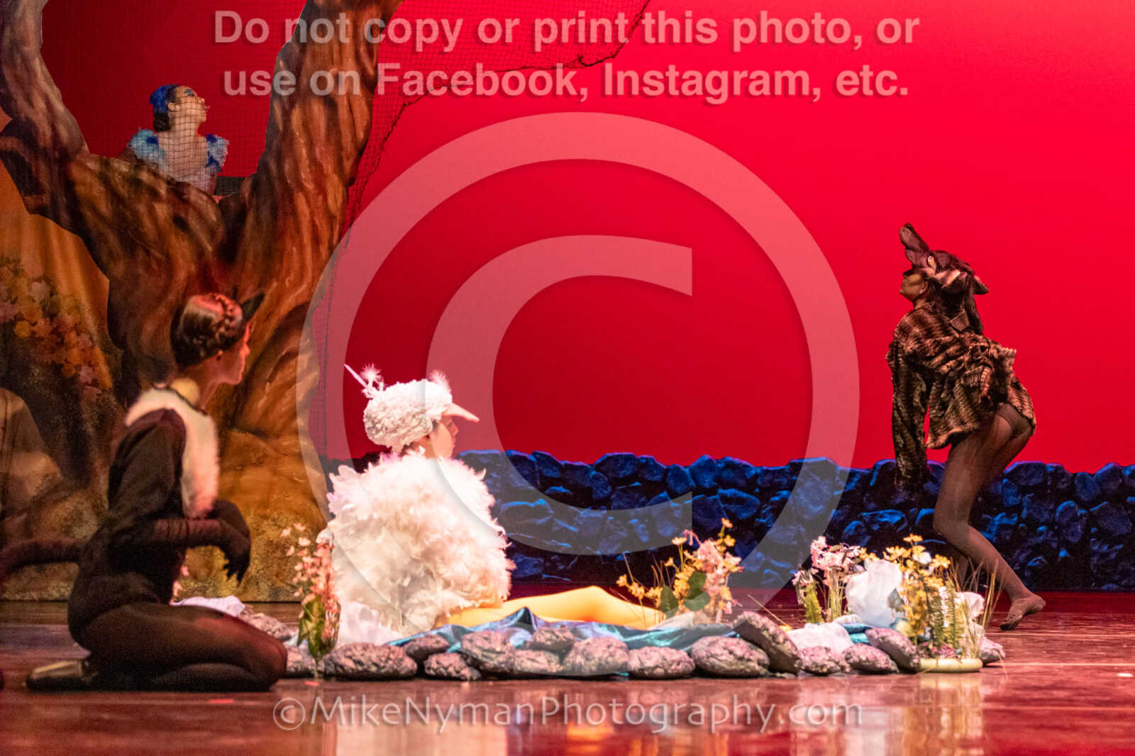 20260304152437-R3-639405