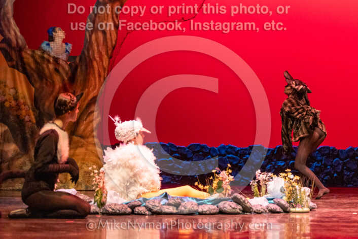 20260304152437-R3-639405