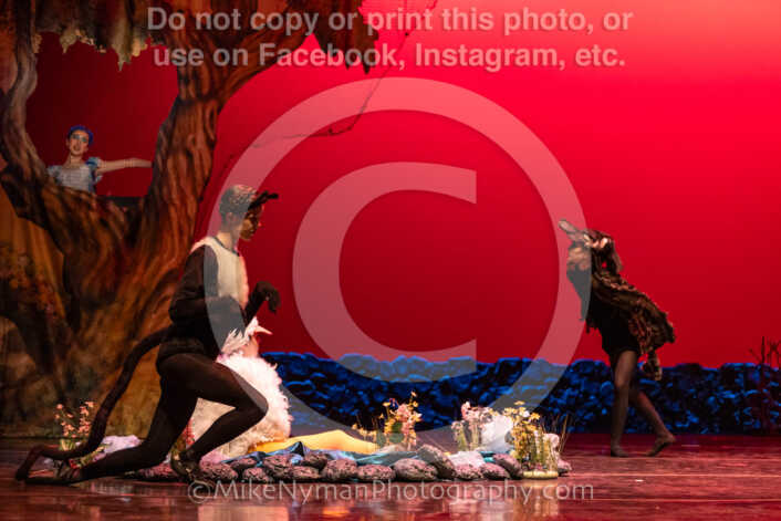 20260304152440-R3-639406