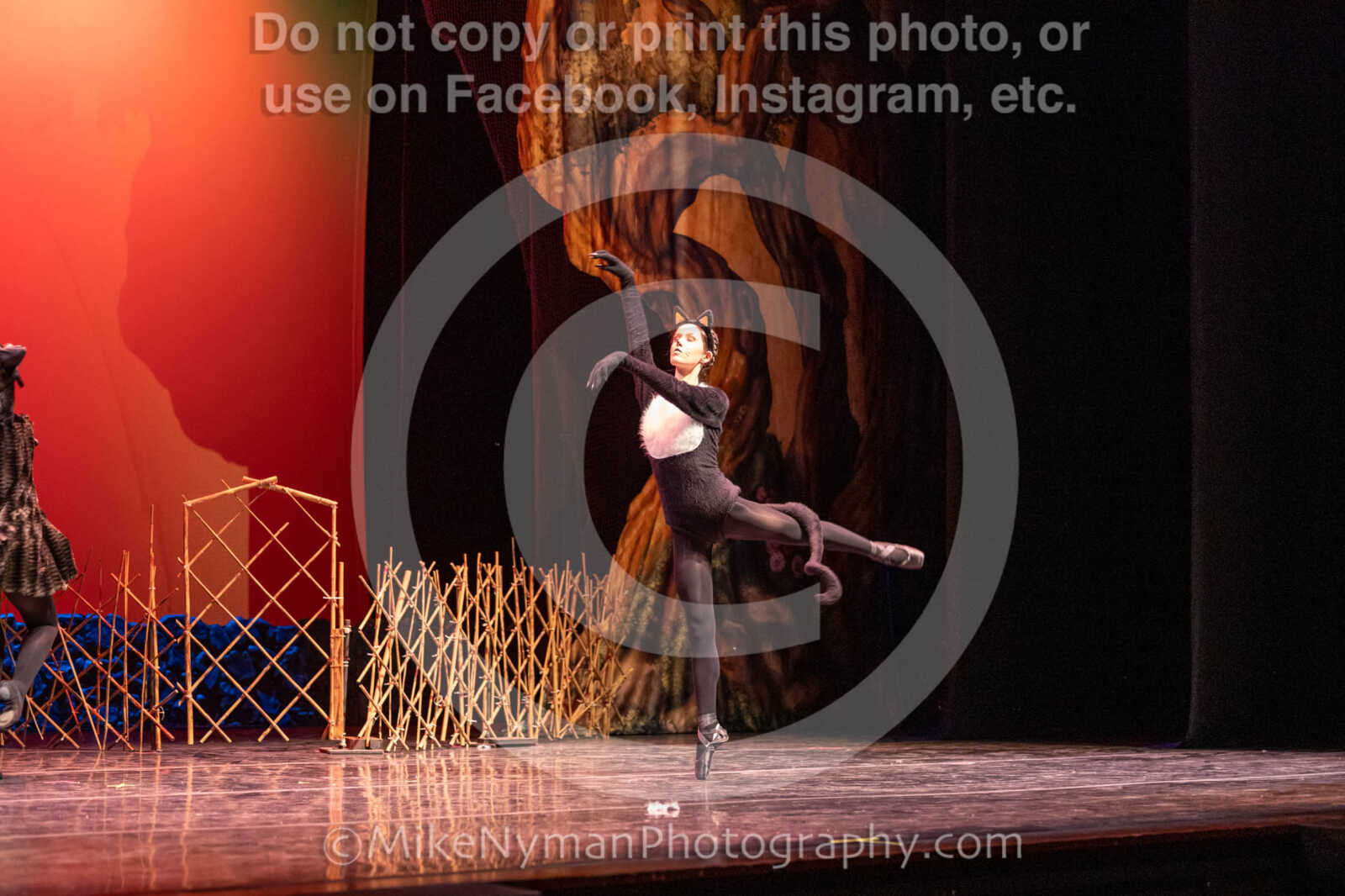 20260304152447-R3-639410