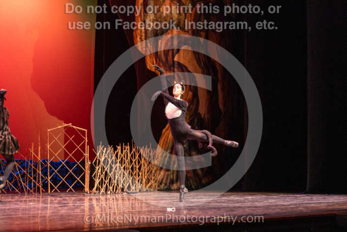 20260304152447-R3-639410