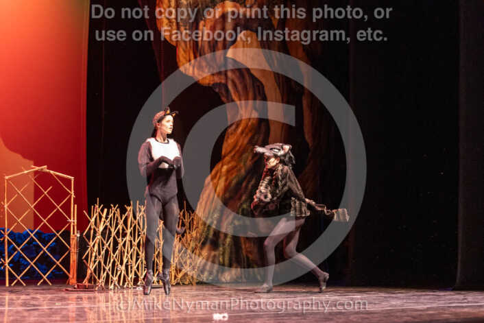 20260304152453-R3-639413