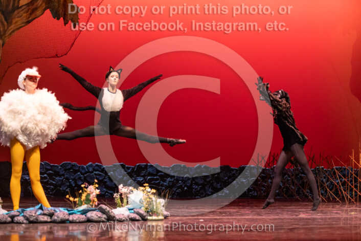 20260304152456-R3-639416