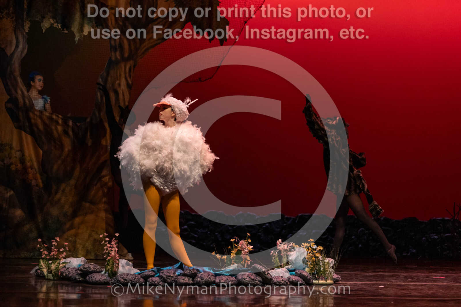 20260304152458-R3-639417