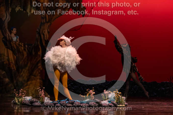 20260304152458-R3-639417