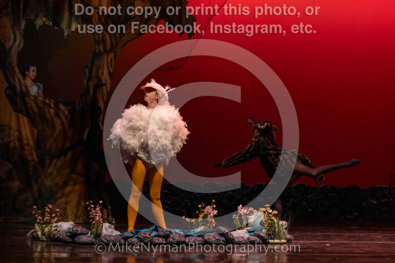 20260304152459-R3-639418