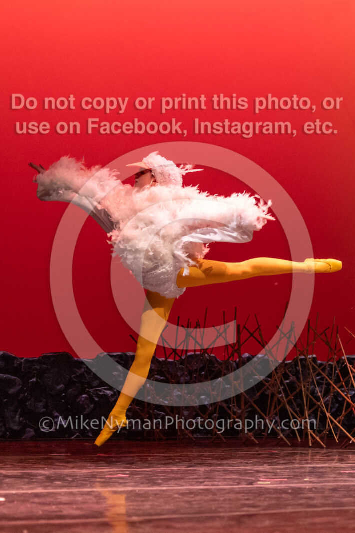 20260304152529-R3-639433