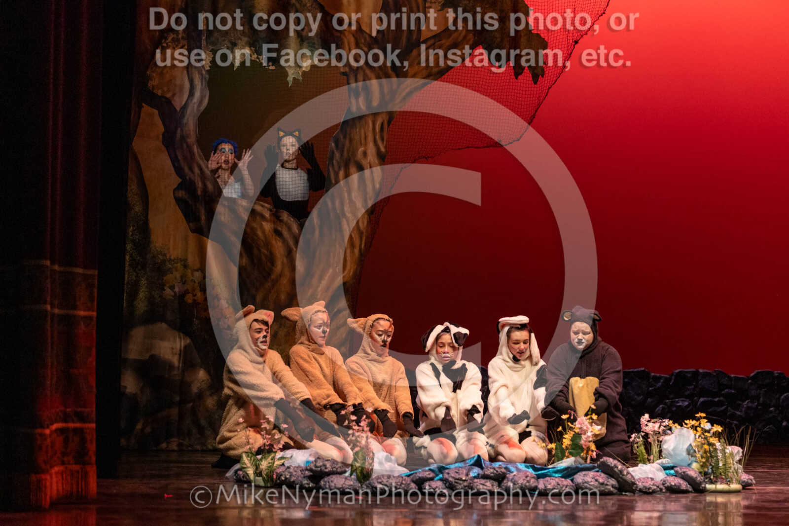 20260304152534-R3-639435