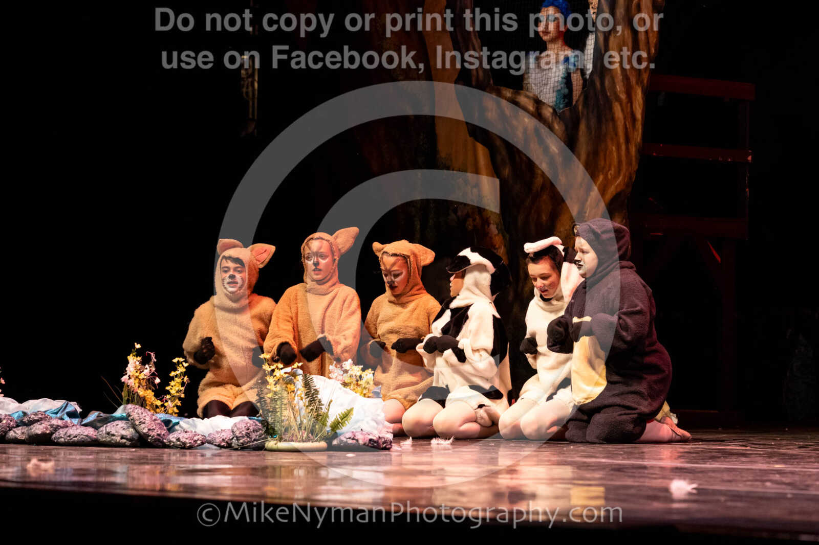 20260304152535-R62-100583