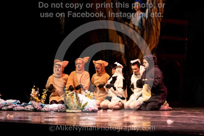 20260304152535-R62-100583