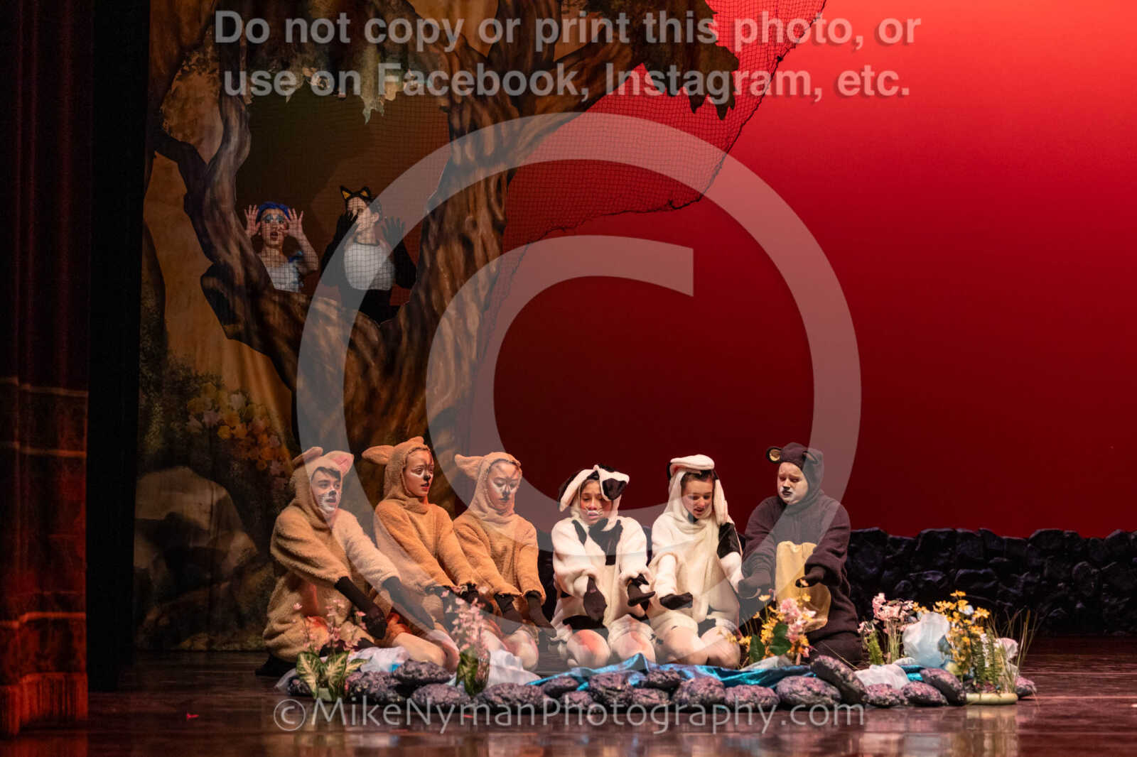 20260304152537-R3-639436