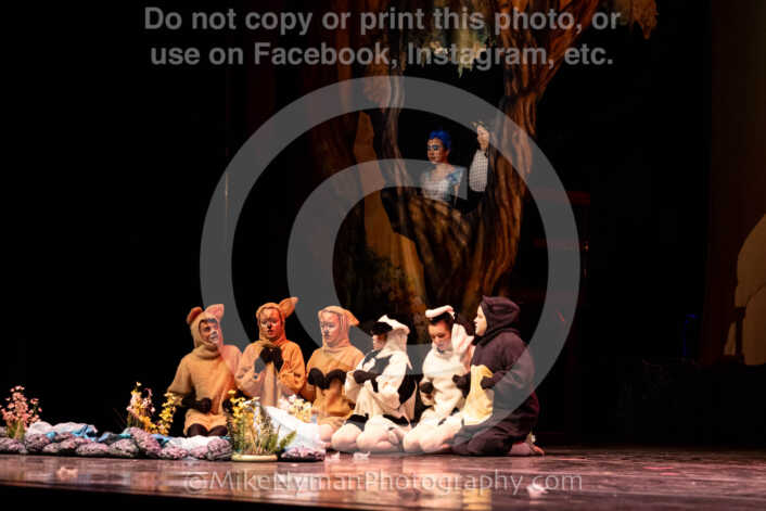 20260304152540-R62-100586