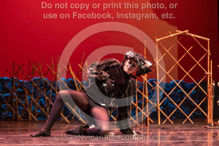 20260304152607-R3-639442